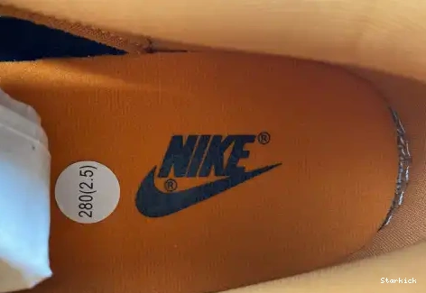 DA1469-001 Low (2020) Dunk Ceramic Nike 0623